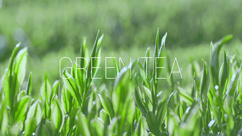 Innisfree - 綠茶籽霜