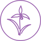 Innisfree - Orchid Enriched Essence